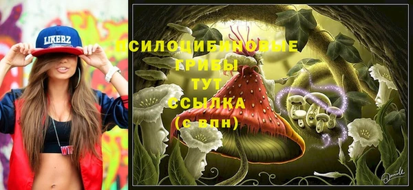 марки nbome Новодвинск