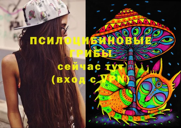 экстази Новозыбков