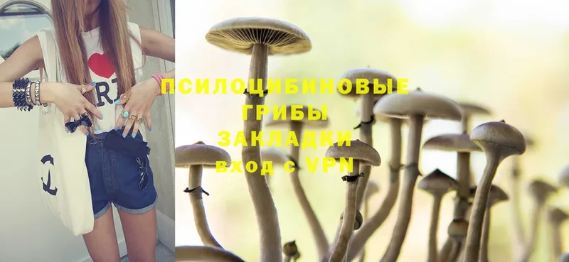 Псилоцибиновые грибы MAGIC MUSHROOMS  Уфа 