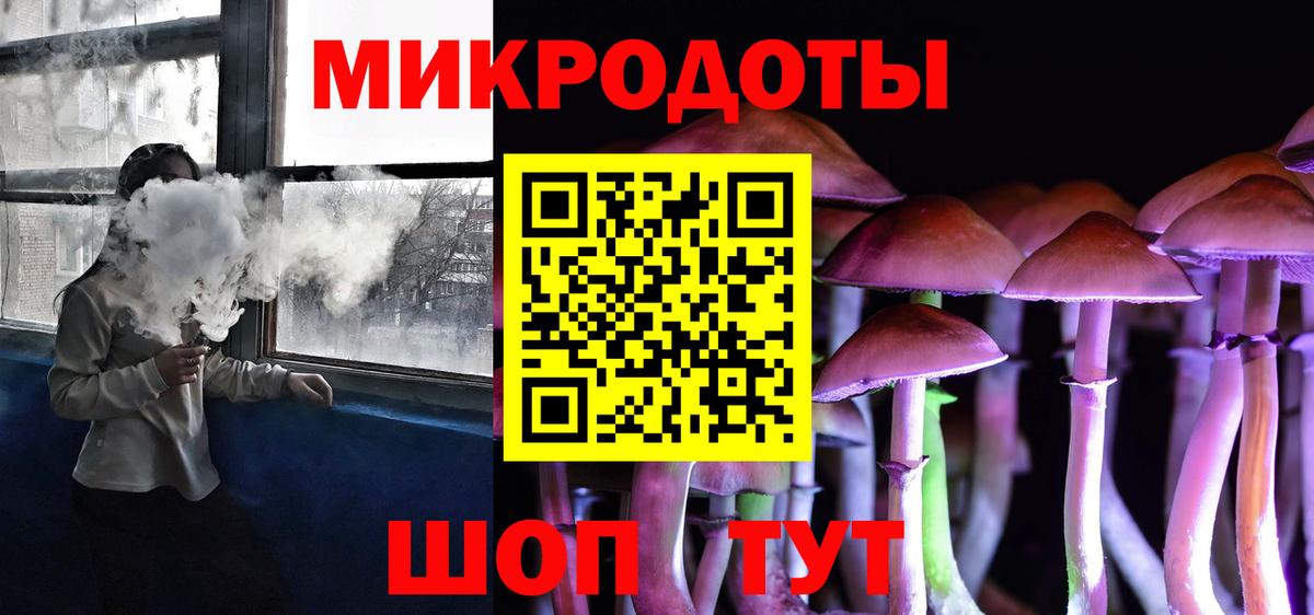 Уфа  где найти   Вход с VPN  Псилоцибиновые грибы Psilocybine cubensis 