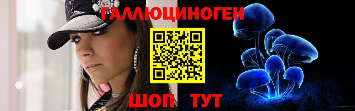 Галлюциногенные грибы Psilocybe Уфа